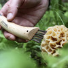 Opinel No.8 Mushroom Knife Beech (1252) lifestyle brushing