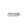 Buck 743 Mini Sovereign Stainless Steel (0743SSS-B/13810) closed clipside