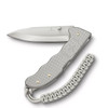 Victorinox Evoke Alox Silver (0.9415.D26)