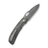 WE Inmate Polished Titanium Grey with Satin Raindrops (WE23096B-4)