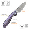 Remette Two Face Titanium Purple (DSTF-B)