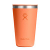 Hydro Flask All Around Tumbler Press-In Lid Nectar 16oz (T16CPC690)