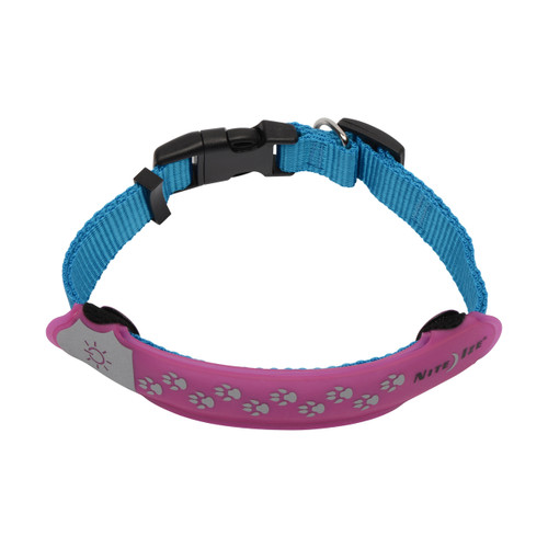 Nite dawg led collar clearance