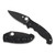 Spyderco Manix 2 XL G10 Black Blade(C95GPBBK2)
