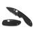 Spyderco Efficient Black Serrated (C216GPSBBK)