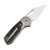 CJRB Limited Edition Mini Pyrite Titanium & Arctic Storm FatCarbon (J1933T2-FCG) open clipside