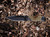 Boker Plus Desertman (02BO083) lifestyle