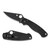 Spyderco Paramilitary 2 Salt G10 Black (C81GMCBKP2)