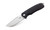 Bestech Lion Satin D2 G10 Black (BG01A)
