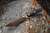 TOPS Knives Operator 7 Midnight Bronze (OP7-03) lifestyle 2