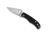 Spyderco  Reveal 16 Bug G10 Black (C133GBKP)