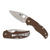 Spyderco Reveal 17 Native 5 Brown G10 CPM 15V (C41GPBN15V5)