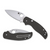 Spyderco Reveal 17 Sage 6 Carbon Fiber CPM S90V (C123CFBCLS90VP)