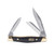 Buck Cadet Ebony/Brass (0303BRS-B/14120)