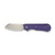 CIVIVI Crabby G10 Purple (C24055-2)