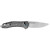 Kershaw Covalent Titanium (2042TI)