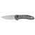 Kershaw Covalent Titanium (2042TI)