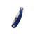 QSP Dolphin Blue Resin (QS161-E)