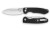 Bestechman Firebird G10 Black (BMK05A)