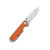 QSP Nebula Orange Bone (QS168-D)
open