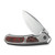WE Corwyn Polished Titanium with Lava Flow Fat Carbon Fiber Inlay (WE24088-4)