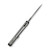 WE Knife Starlash Titanium Grey (WE23011C-2)
open frame