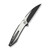 WE Knife Fluxor Titanium Satin Black (WE23071-4)
open clipside