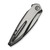 WE Knife Fluxor Titanium Satin Black (WE23071-4)
closed clipside