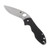 Spyderco Retract Black G10 (C276GP)
open