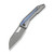 WE Inceptus Titanium Dark Grey Flamed Titanium Inlay (WE25017-2)