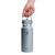 Hydro Flask Wide Flex Straw Cap Shale Grey 32oz (W32CFS043)
in hand