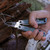 NexTool Sailor Pro Pliers (NE20045) pliers