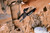 NexTool Vanguard Wrench (NE20131) lifestyle