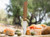 Boker Plus Rusticus (01BP0048) lifestyle