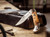 Boker Germany Scout Thuja (112002TH) lifestyle
