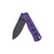 QSP Canary G10 Purple (QS150-D2)
half