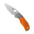 Spyderco Reveal 21 Sprint Run Native 5 50th Anniversary Amber Bone (C41BA50TH)
open