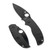 Spyderco Reveal 21 Sage 5 Salt G10 Black (C123GPBKMCBK)