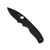 Spyderco Reveal 21 Shaman Lightweight Black (C229PBBK)
open