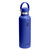 Hydro Flask Standard Flex Cap Capri Blue 21oz (S21CSX382)
angle