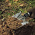 NexTool Multi Functional Shovel Mini (NE20013) in use