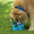 Nite Ize RadDog Collapsible Bowl Blue (RWB-03-R8)