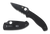Spyderco Tenacious Black G10 Black Blade Combination Edge