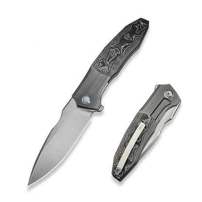 WE Archeozoic Grey Ti with Alum Foil CF Inlay (WE23091-2)