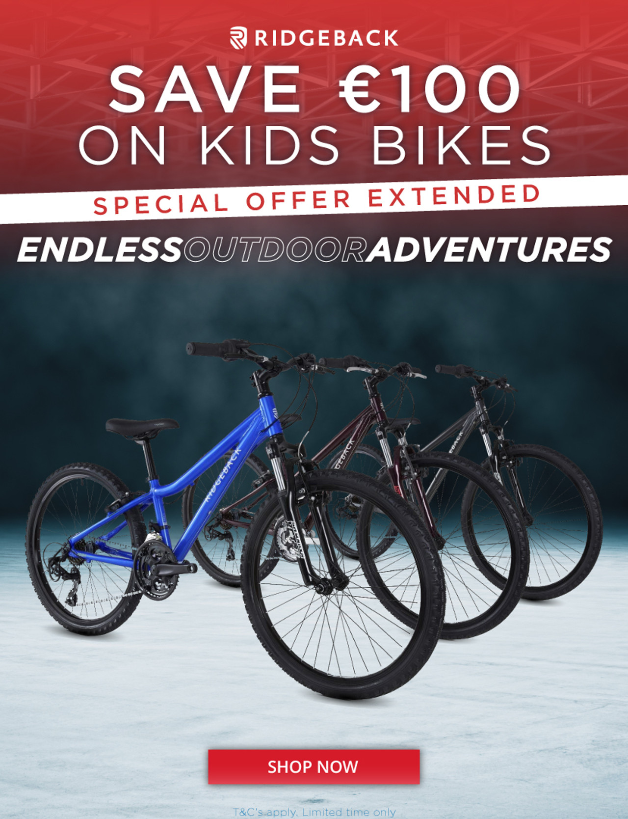 Ridgeback Kids Bikes Special Offer at Eurocycles Ireland