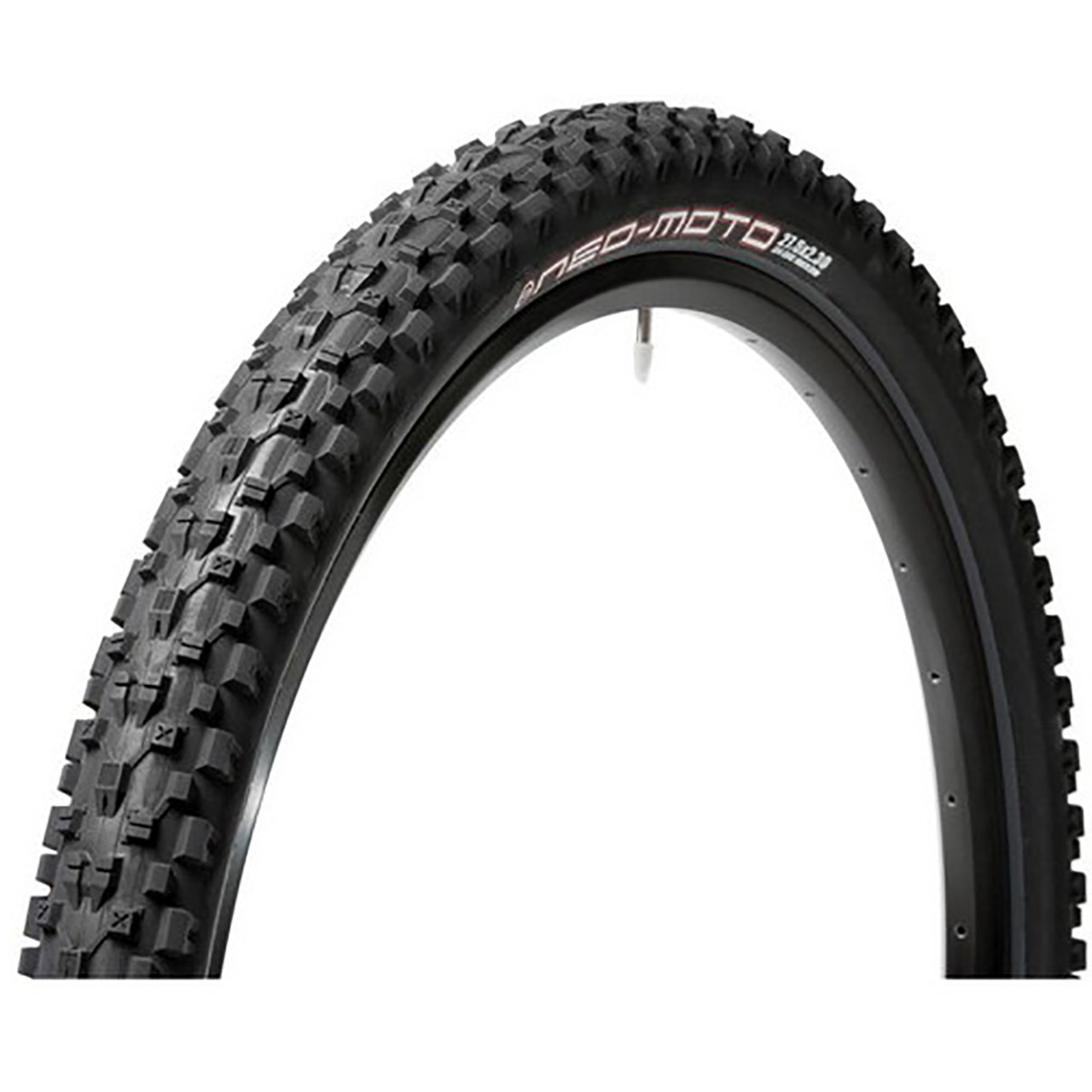 panaracer pasela 650b