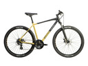 Raleigh Strada X MTB Bike