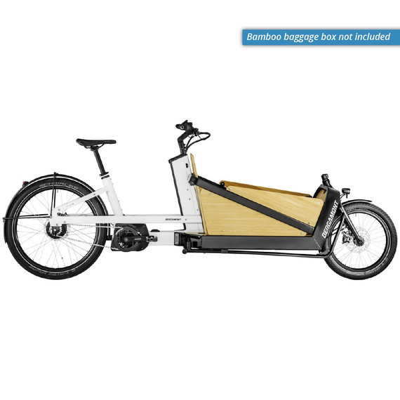 Bergamont E-Cargoville LJ Expert One Size Electric Bike (2021)  with front carrier