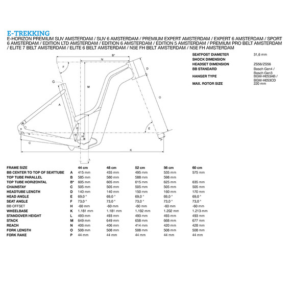 Bergamont E-Horizon Expert 6 Amsterdam geometry