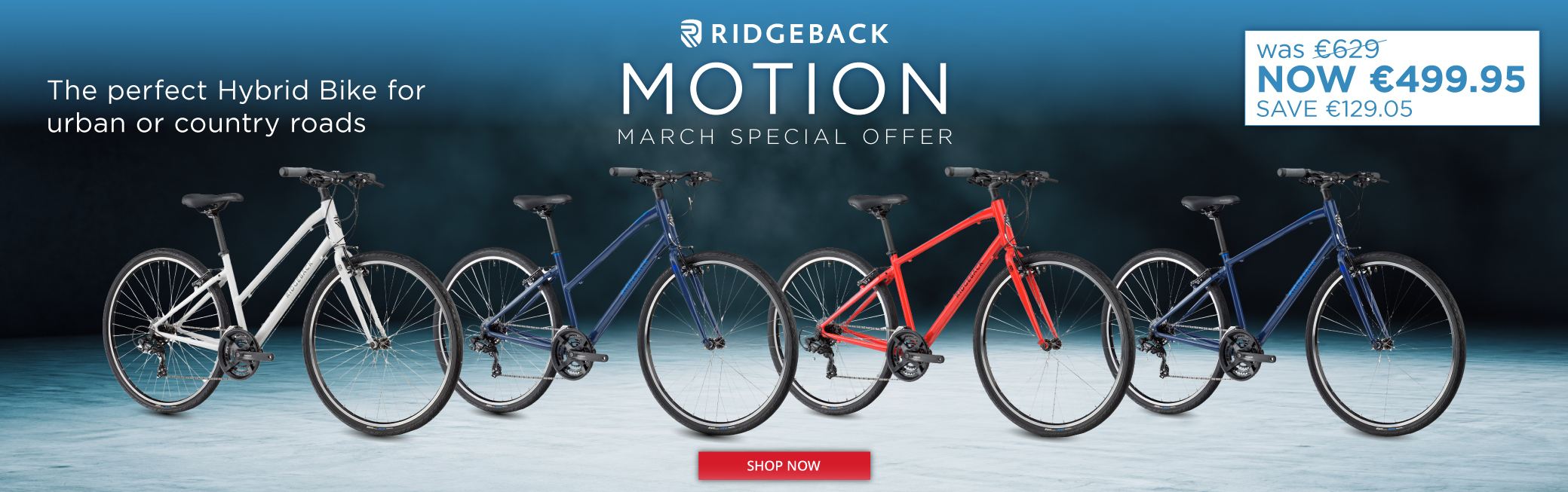 Ridgeback Motion Special Offer - Eurocycles Ireland